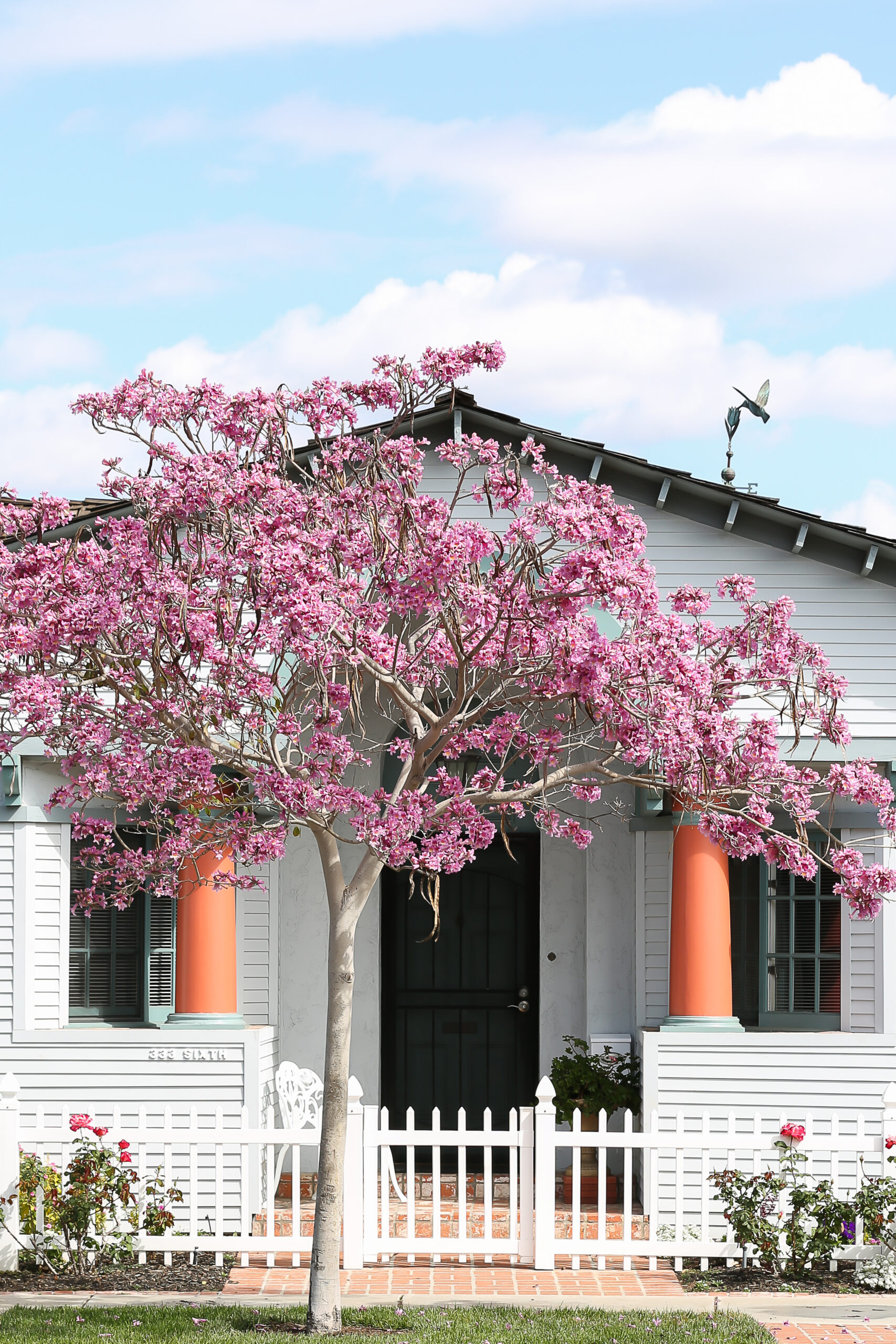 build wealth san diego multi family real estate portia green realtor compass sdhousingmarketdotcom build wealth san diego multi family real estate portia green realtor compass sdhousingmarketdotcom