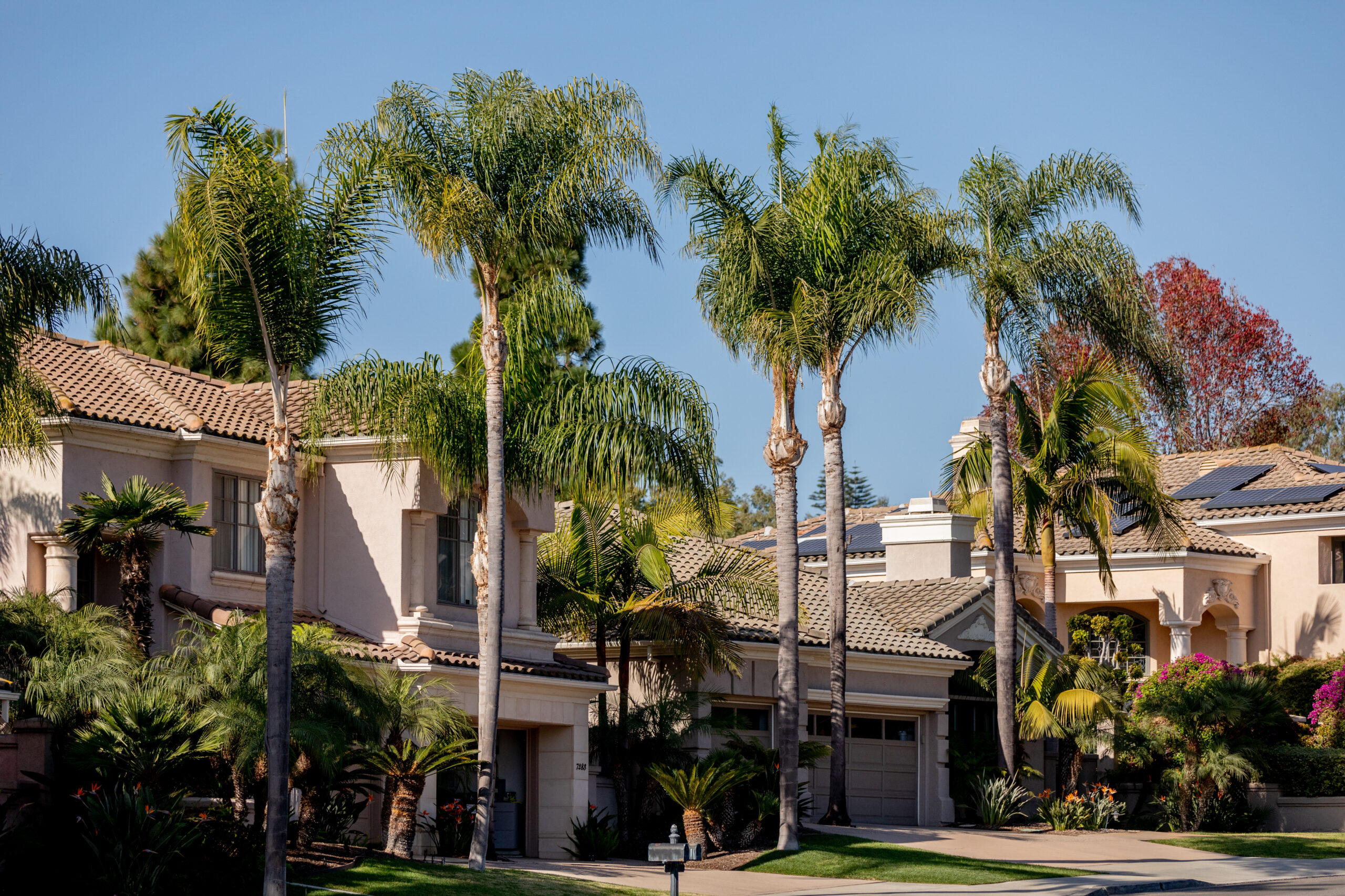 where san diego county single family detached home inventory grows portia green realtor mission valley la jolla sdhousingmarketdotcom where san diego county single family detached home inventory grows portia green realtor mission valley la jolla sdhousingmarketdotcom