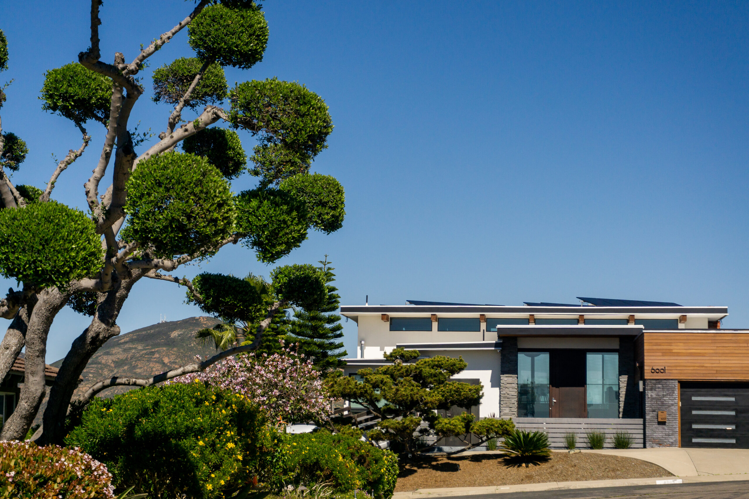 compass san diego coming soon listings reach 60 million redfin buyers early on rocket partnership portia green realtor mission valley sdhousingmarketdotcom